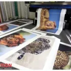 Business 14 image A10TION X Banner in Cape Town WC