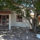 Maatskappy 3 beeld ACUPUNCTURE CLINIC-SHAUL FREEDMAN wet cupping in Cape Town WC