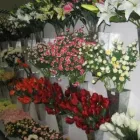 Business 3 image ALL GALLZ ART & CREATIVES CC Reeds in Johannesburg GP