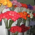 Business 7 image ALL GALLZ ART & CREATIVES CC Reeds in Johannesburg GP