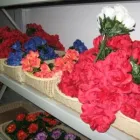 Business 8 image ALL GALLZ ART & CREATIVES CC Reeds in Johannesburg GP