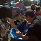 Business 1 image ALPHA AND OMEGA K9 TRAINING Rehabilitation in Benoni GP