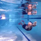 Business 2 image AMANZI SWIM CENTRE Swim Stroke Correction in Roodepoort GP