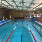 Business 4 image AMANZI SWIM CENTRE Swim Stroke Correction in Roodepoort GP