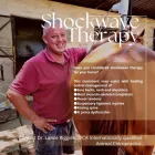 Maatskappy 1 beeld ANIMAL CHIROPRACTOR Chiropractors in Cape Town WC