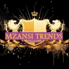 Business 14 image ANZANI MEDIA CONCEPT Website Design in Sandton GP