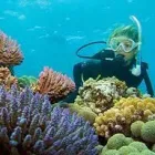 Business 1 image AQUATASTIC SCUBA DIVING SCHOOL Wetsuits in Edenvale GP