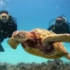 Business 2 image AQUATASTIC SCUBA DIVING SCHOOL Wetsuits in Edenvale GP