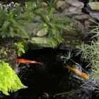 Maatskappy 1 beeld B2M CONSTRUCTION Fishpond Builders in Benoni GP