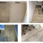 Business 4 image BEDFORDVIEW CARPET CLEANING SERVICE Water Extraction in Bedfordview GP