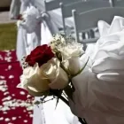 Business 3 image BELLA FINESSE WEDDING FLOWERS & EVENT DECOR West Rand Florist in Roodepoort GP