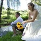 Business 4 image BELLA FINESSE WEDDING FLOWERS & EVENT DECOR West Rand Florist in Roodepoort GP