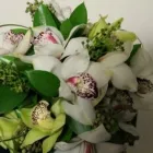 Business 7 image BELLA FINESSE WEDDING FLOWERS & EVENT DECOR West Rand Florist in Roodepoort GP