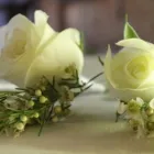 Business 8 image BELLA FINESSE WEDDING FLOWERS & EVENT DECOR West Rand Florist in Roodepoort GP