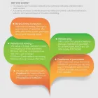 Business 1 image BERGHIE ONLINE (PTY) LTD Wireless in Cape Town WC