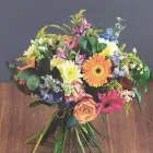 Business 2 image BLOOMS & CO FLORIST (PTY) LTD Plant in Sandton GP