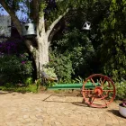 Maatskappy 1 beeld BLUE MANGO LODGE Weddings in Kempton Park GP