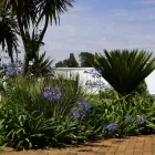 Maatskappy 2 beeld BLUE MANGO LODGE Weddings in Kempton Park GP