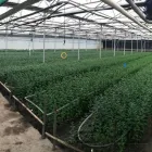 Business 2 image BLUE PLANET PTY LTD Wastewater Treatment in Johannesburg GP