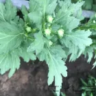 Business 3 image BLUE PLANET PTY LTD Wastewater Treatment in Johannesburg GP