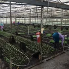 Business 4 image BLUE PLANET PTY LTD Wastewater Treatment in Johannesburg GP