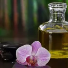 Business 17 image BOOTSBAR THAI SPA Sensual Massage in Randburg GP