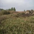 Business 6 image BOTHO CONSULTING 'N PROJECTS Swimming Pools in Johannesburg GP