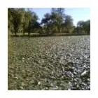 Business 10 image BOTHO CONSULTING 'N PROJECTS Swimming Pools in Johannesburg GP