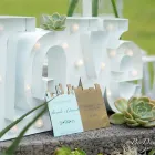 Maatskappy 2 beeld BRING TO LIFE EVENTS Year End in Kempton Park GP