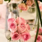 Maatskappy 10 beeld BRING TO LIFE EVENTS Year End in Kempton Park GP