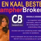 Maatskappy 1 beeld CAMPHER BROKERS Vehicle Insurance in Florida GP