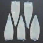 Business 2 image CAPE FISH RETAIL FISH SHOP CAPE TOWN Tuna in Cape Town WC