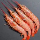 Business 3 image CAPE FISH RETAIL FISH SHOP CAPE TOWN Tuna in Cape Town WC