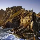 Business 2 image CAPE GUIDE Tours in Cape Town WC