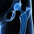 Business 1 image CAPE HIP AND KNEE Doctors in Cape Town WC