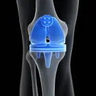 Business 6 image CAPE HIP AND KNEE Doctors in Cape Town WC