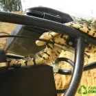 Maatskappy 1 beeld CAPE SNAKE CONSERVATION Snakebite First Aid Course in Cape Town WC