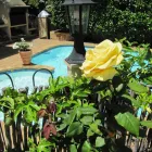 Business 3 image CARMICHAEL GUESTHOUSE Hotel Accommodation in Cape Town WC