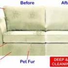 Maatskappy 1 beeld CARPET CLEANING BENONI Carpet Cleaning Company in Benoni GP