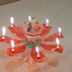 Business 2 image CASTLES4RASCALS Water Slides in Cape Town WC