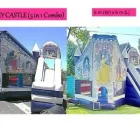 Business 5 image CASTLES4RASCALS Water Slides in Cape Town WC