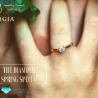 Business 2 image CG DIAMONDS Jewellery Retail Systems in Cape Town WC