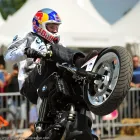 Business 1 image CHAREL SCHREUDER PHOTOGRAPHY Wildlife Photographer in Somerset West WC