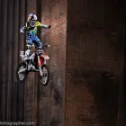 Business 4 image CHAREL SCHREUDER PHOTOGRAPHY Wildlife Photographer in Somerset West WC