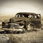 Business 9 image CHAREL SCHREUDER PHOTOGRAPHY Wildlife Photographer in Somerset West WC