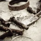 Business 10 image CHAREL SCHREUDER PHOTOGRAPHY Wildlife Photographer in Somerset West WC