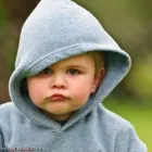 Business 17 image CHAREL SCHREUDER PHOTOGRAPHY Wildlife Photographer in Somerset West WC