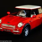 Business 22 image CHAREL SCHREUDER PHOTOGRAPHY Wildlife Photographer in Somerset West WC