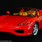 Business 23 image CHAREL SCHREUDER PHOTOGRAPHY Wildlife Photographer in Somerset West WC