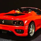 Business 24 image CHAREL SCHREUDER PHOTOGRAPHY Wildlife Photographer in Somerset West WC